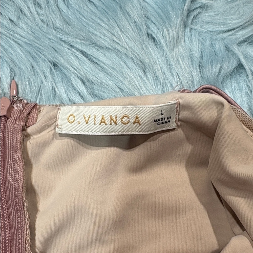 O. Vianca Blush Nude Pink V Neckline Ruched Mesh Mini Dress - Picture 2 of 8